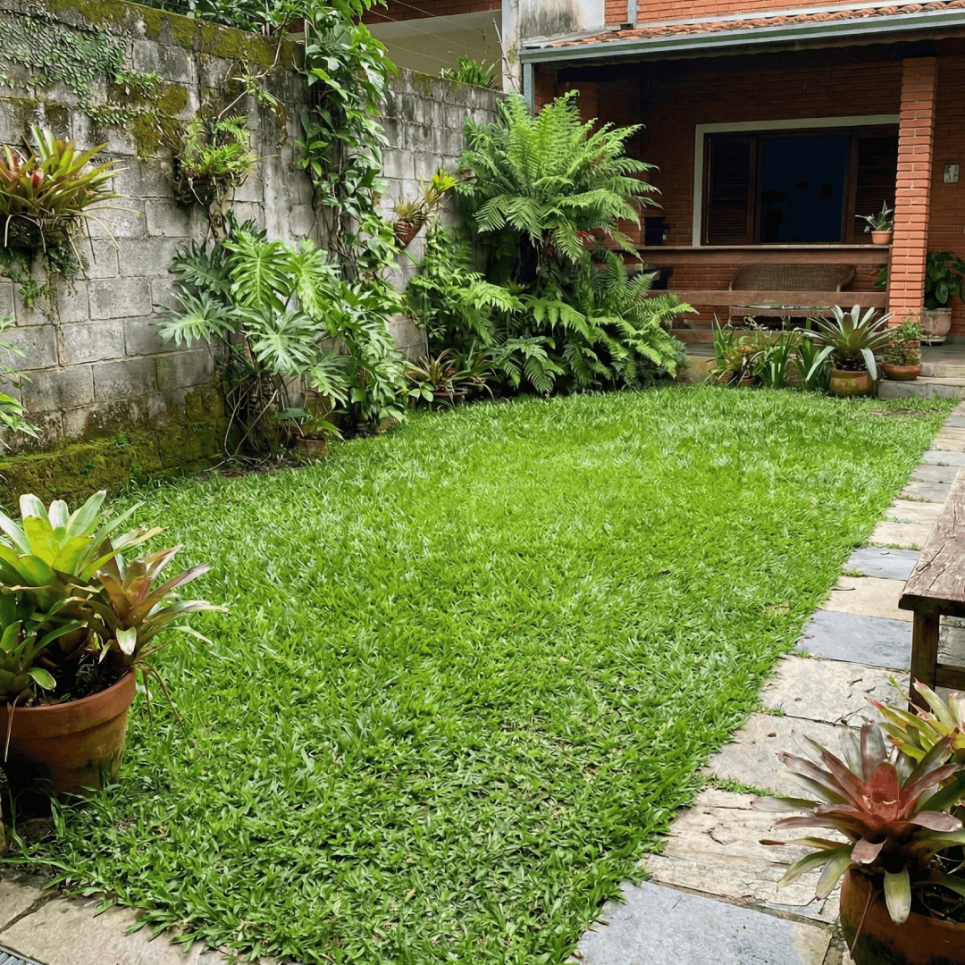 Gramado de Marina Oliveira