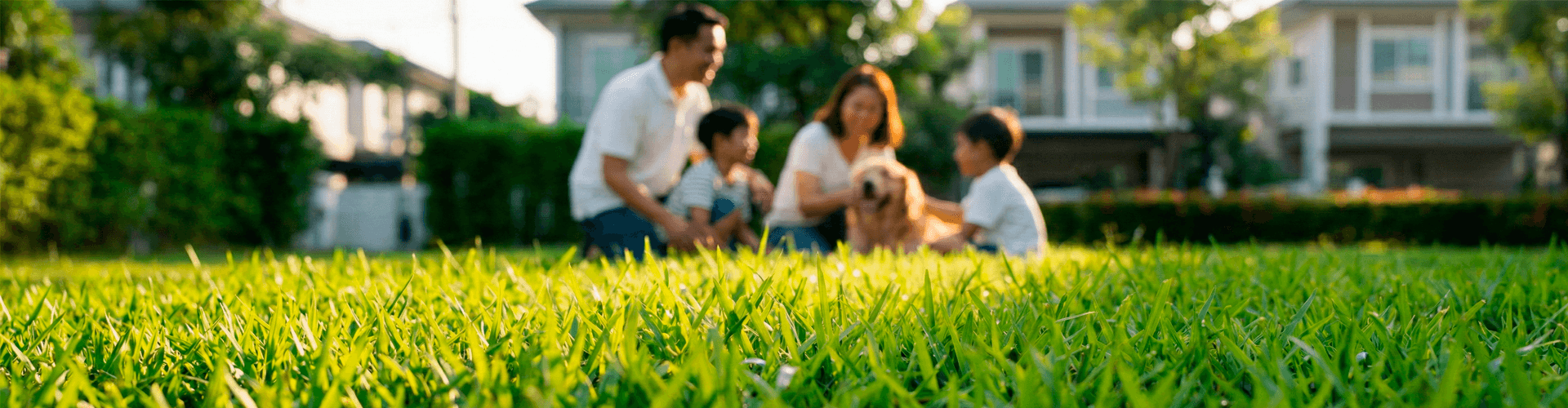 Família no gramado
